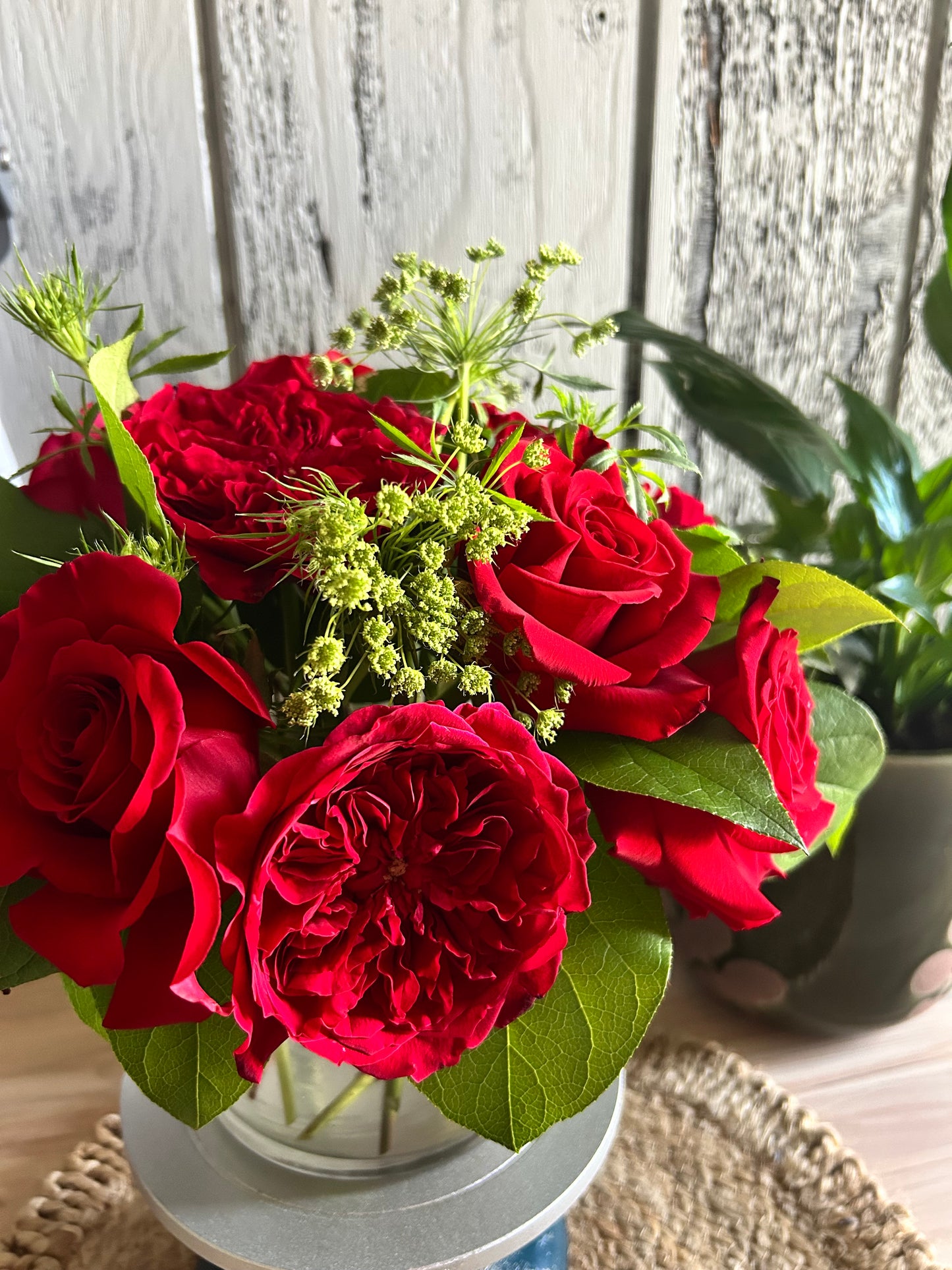 The Garden Dozen
