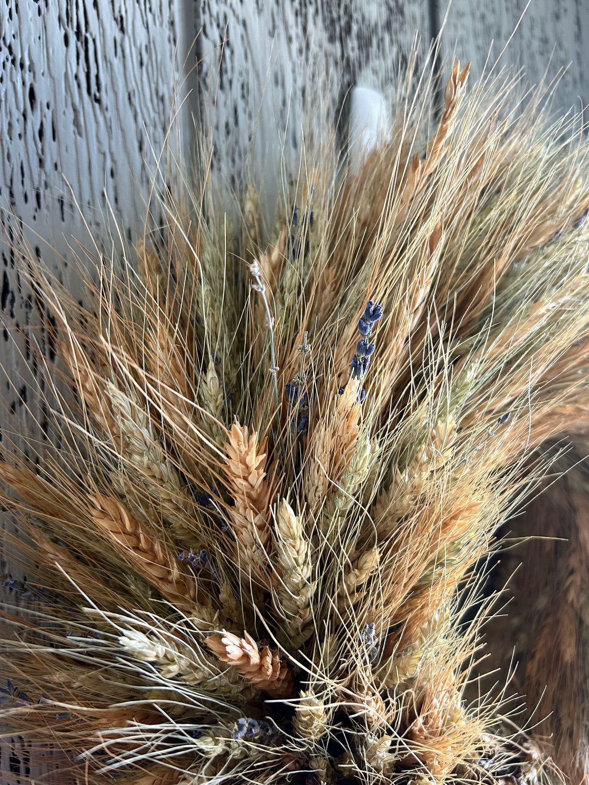 Lavender and Wheat